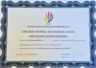 Kinesiologue adaptogenese Diplome federal